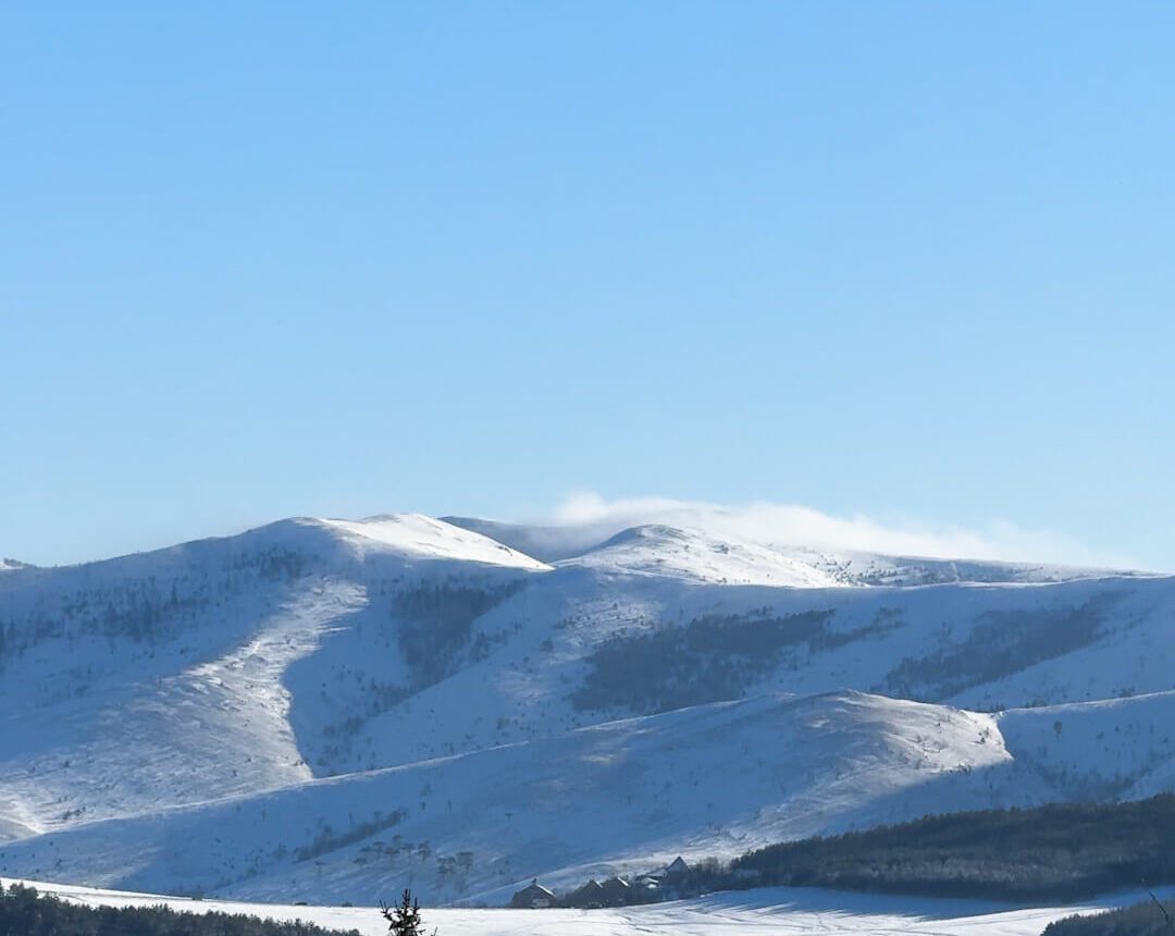 Zlatibor zimi – Snegom prekriveni pejzaži – Prelepa zimska idila na Zlatiboru sa borovima prekrivenim snegom i planinskim pejzažom.