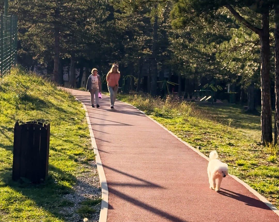 Karaula Zlatibor proleće – Skriveni dragulj za ljubitelje prirode – Staza kroz Karaulu na Zlatiboru, okružena bujnom prolećnom vegetacijom.