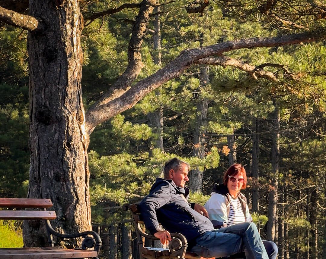 Park Zlatibor – Oaza mira u prirodi – Pogled na prelepi park na Zlatiboru sa zelenim stazama i klupama za odmor.