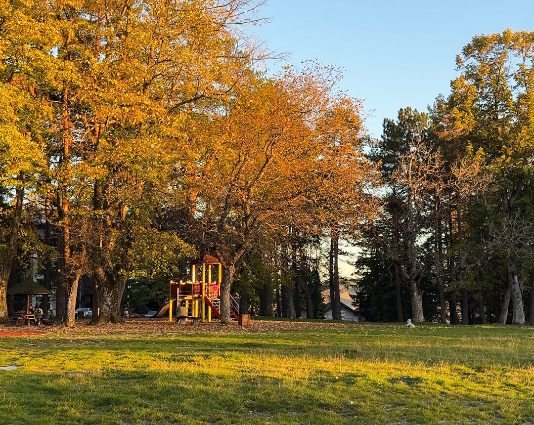 Zlatibor proleće – Procvetala priroda i zelene livade – Zlatibor u proleće sa livadama prekrivenim cvećem i svežim planinskim vazduhom.